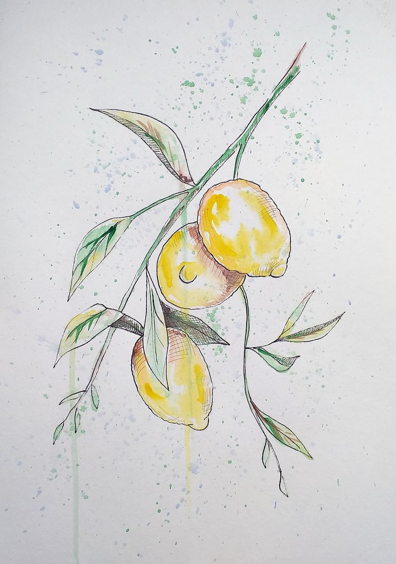Botanical Illustrations